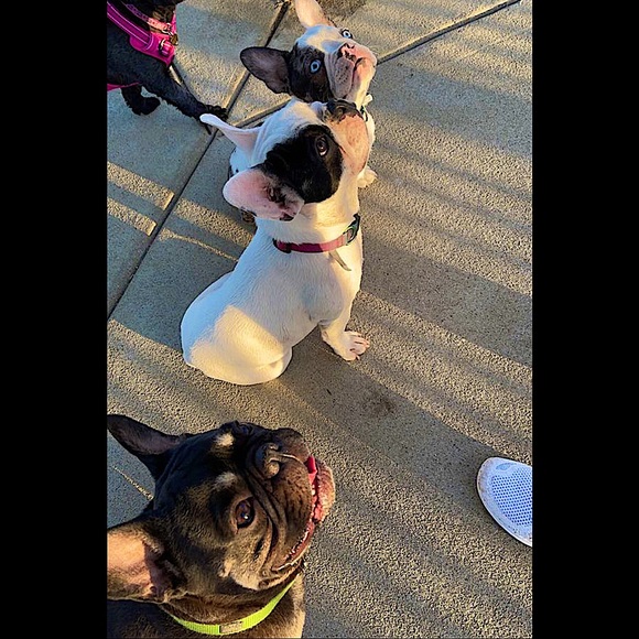 Meet your Posher, Cynthia! - Picture 3 of 5